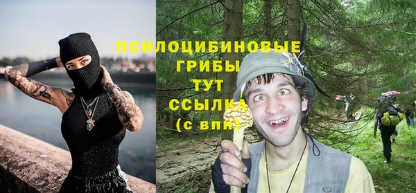 шишки Чегем